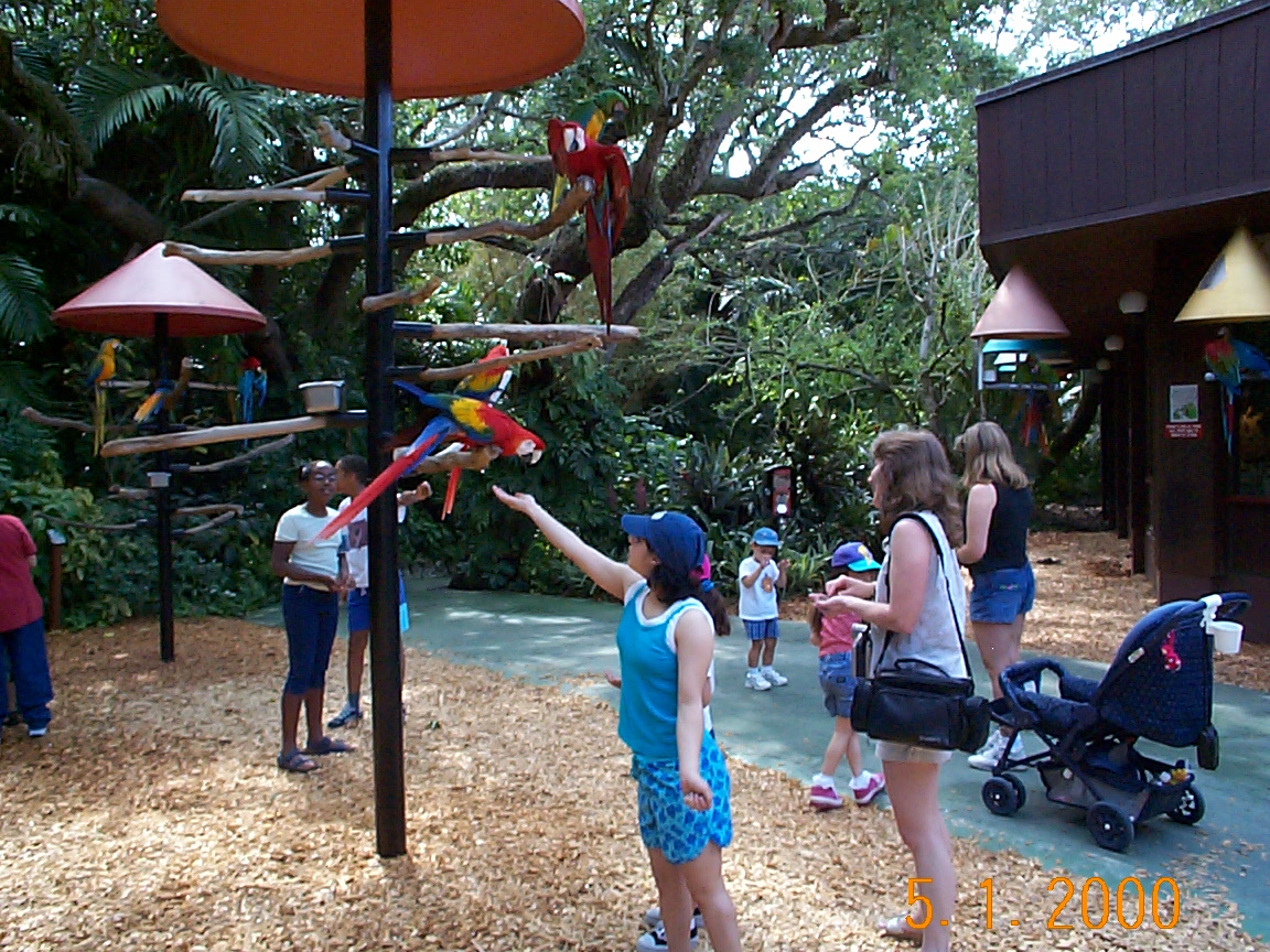 ./2000/Vacation Spring/DCP00089.JPG